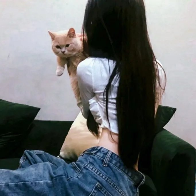 英雄机长